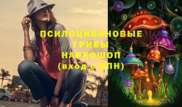 стафф Володарск