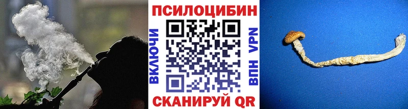купить закладку Дюртюли Галлюциногенные грибы прущие грибы